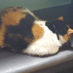 20170805_135003