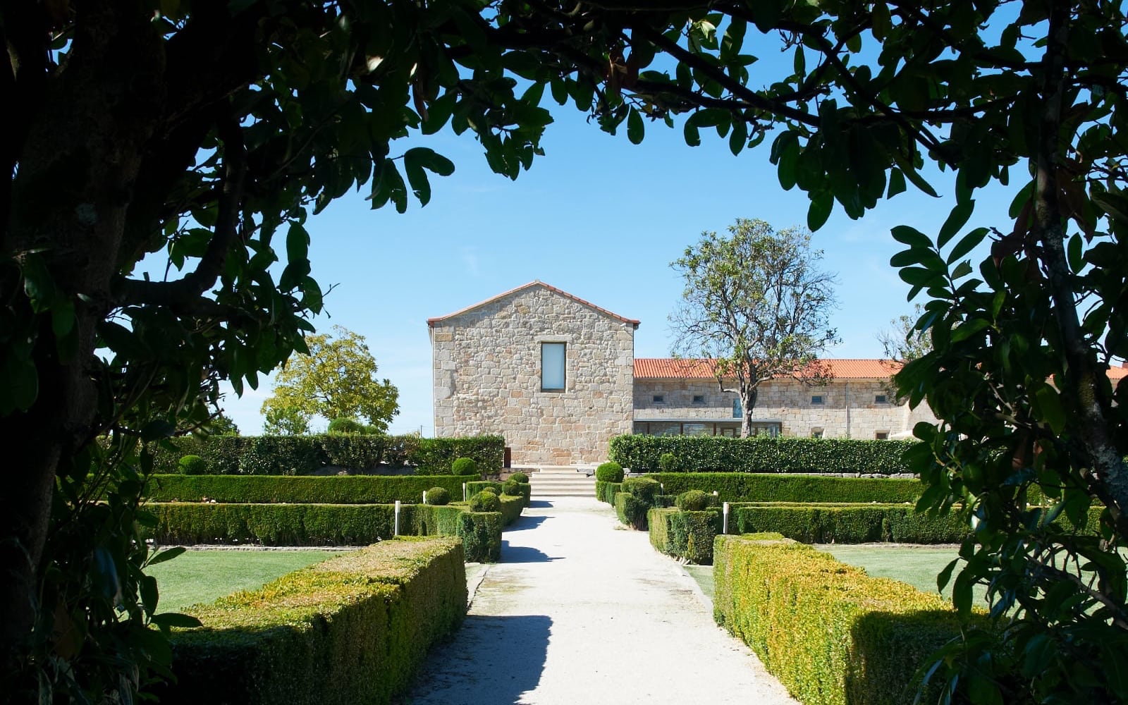 paco-cunhas