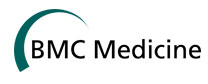 03 bmc